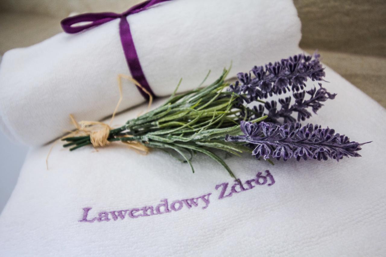 Lawendowy Zdroj Medycyna I Spa Busko-Zdrój Extérieur photo